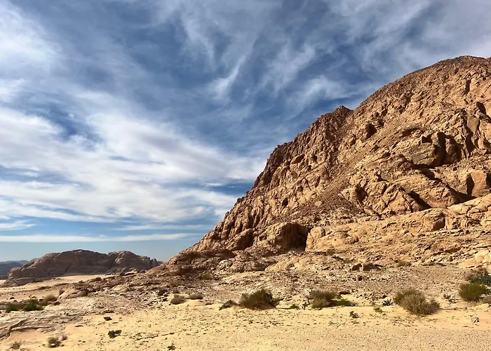 Bedouin Oasis
