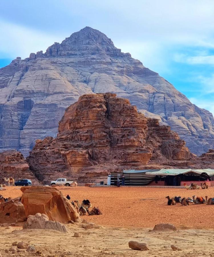 Bedouin Oasis