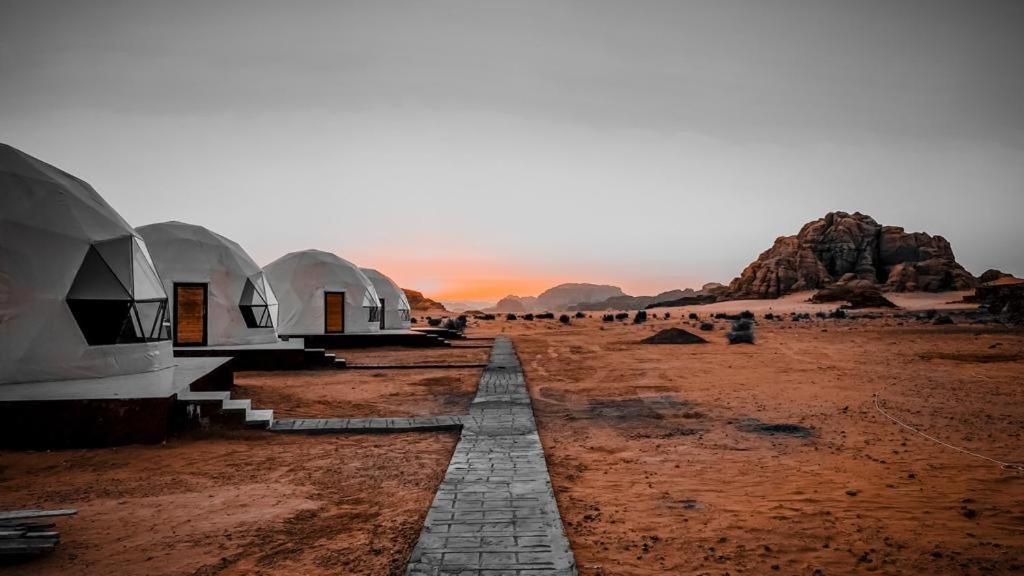 Bedouin Oasis