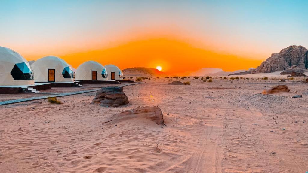 Bedouin Oasis