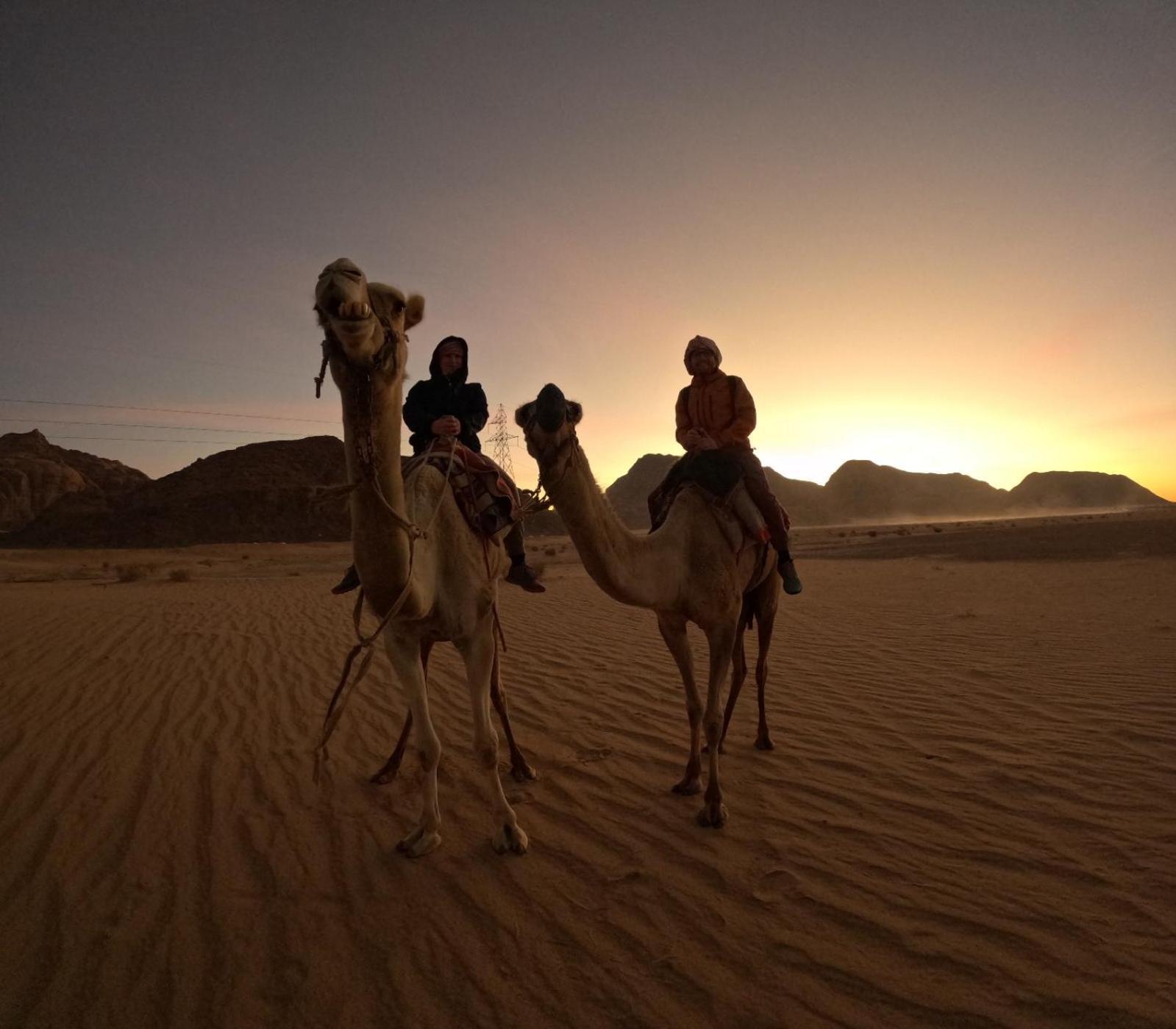 Bedouin Oasis