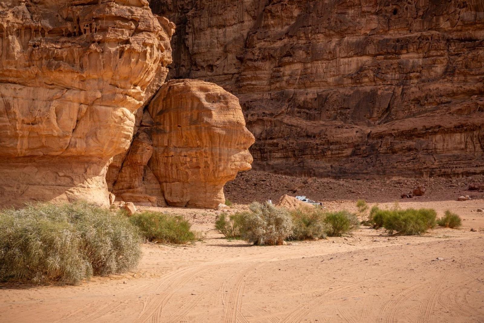 Luxury tent Bedouin Oasis