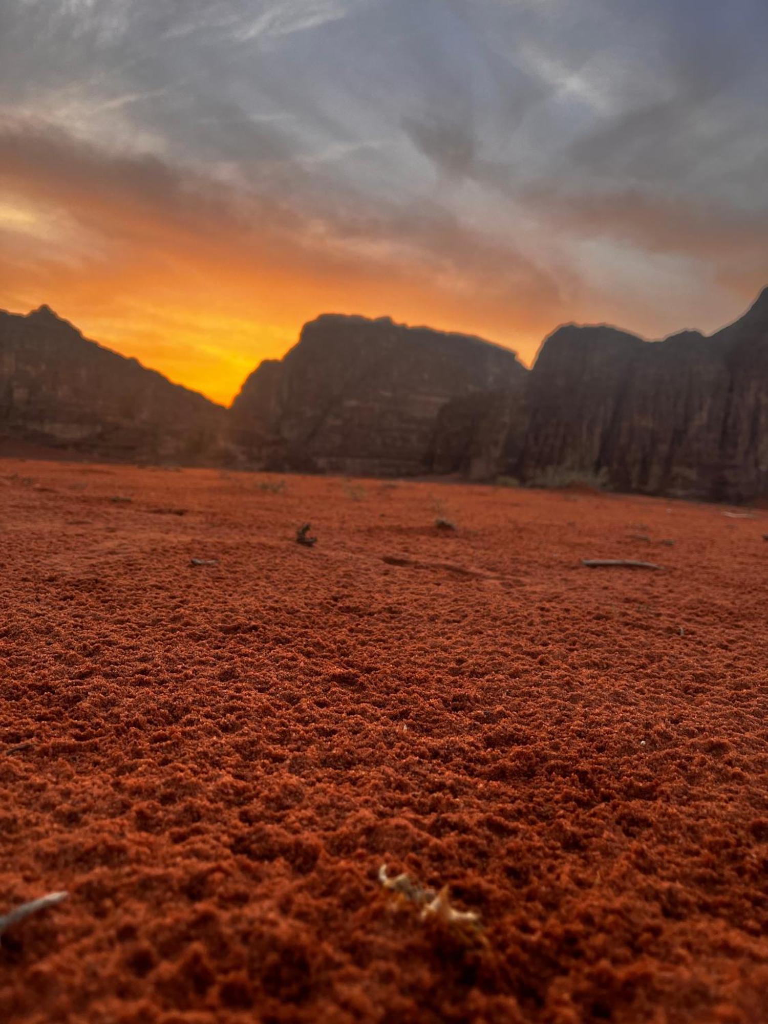 Bedouin Oasis Wadi Rum