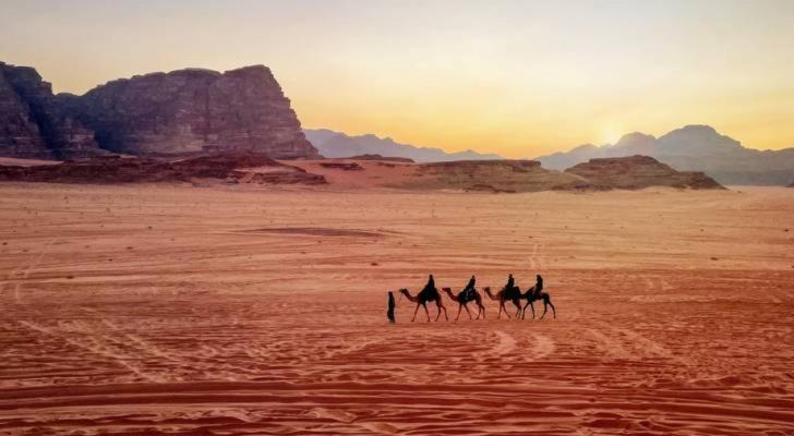 Bedouin Oasis *