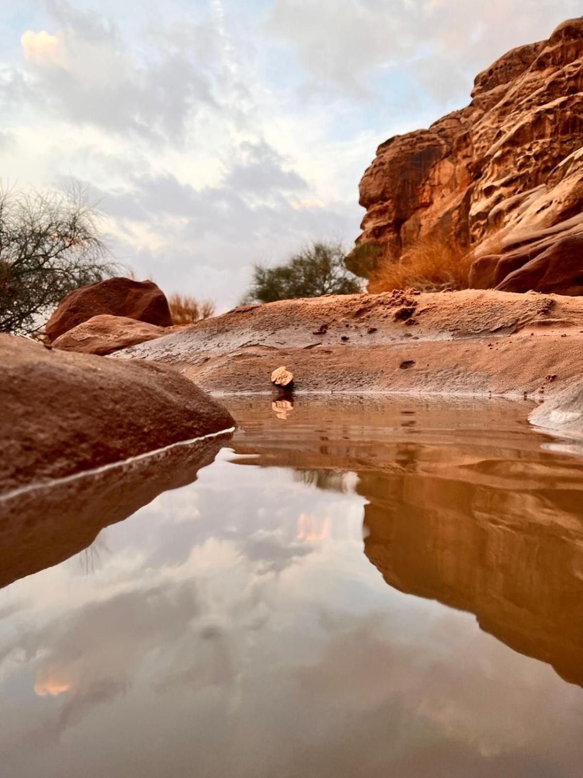 Luxury tent Bedouin Oasis